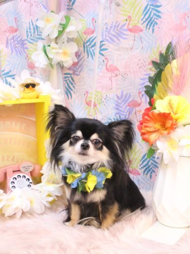 20250810アリューくん