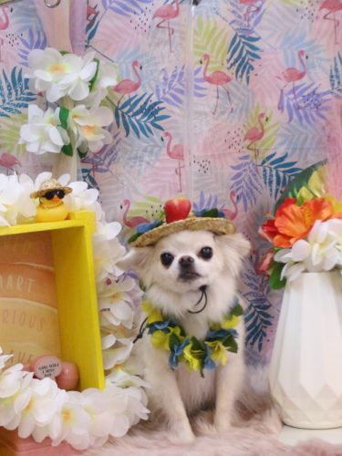 20250810りゅうくん