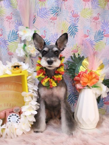 20250811ニーナちゃん