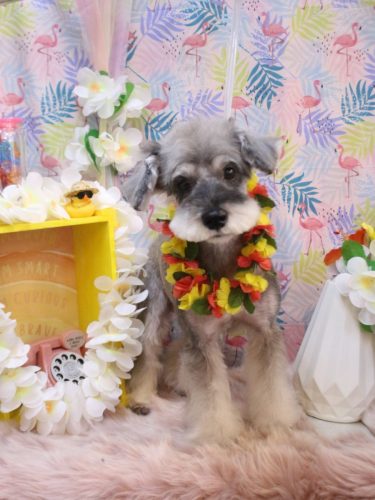 20250811ラーラちゃん