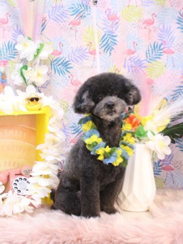 20250811コタロウくん