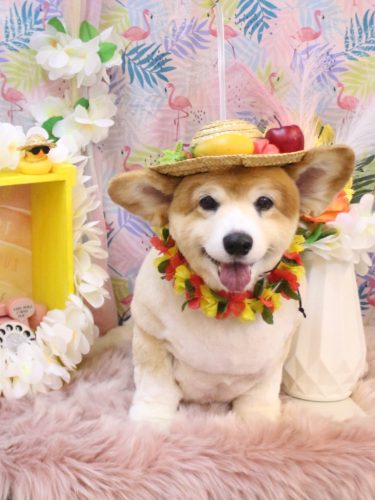 20250811ナナちゃん