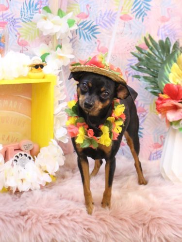 20250811神楽ちゃん