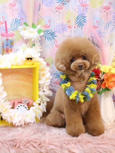 20250811こじろうくん