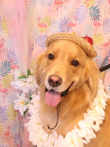 20250812レオくん