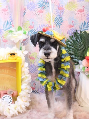 20250812ココくん