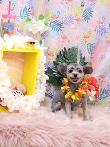 20250812おこげちゃん