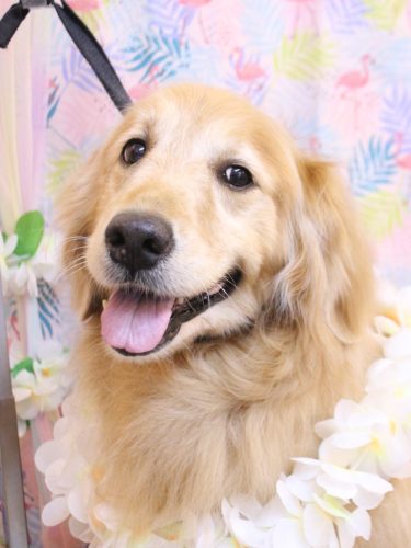 20250813Mickeyちゃん