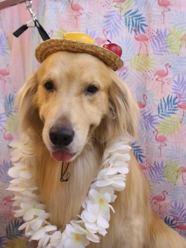 20250813マロンくん