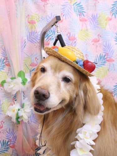 20250813五助くん