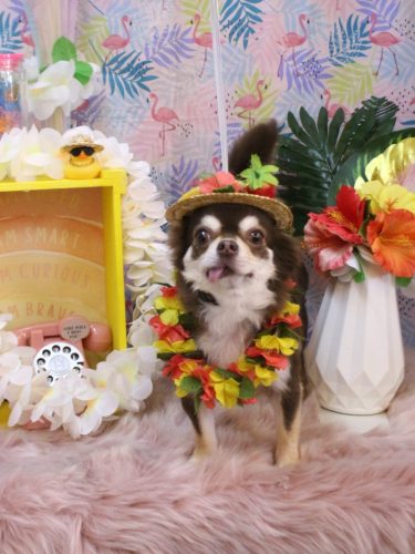 20250813ルアちゃん