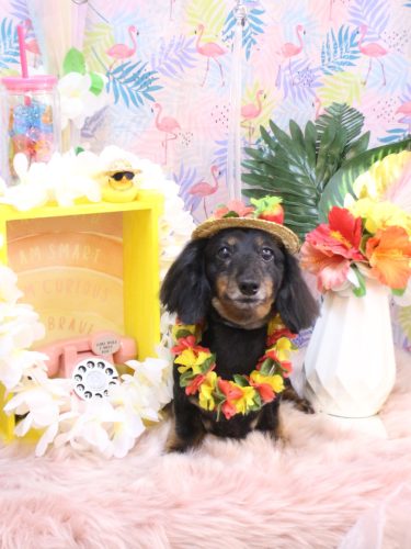 20250813ハルちゃん