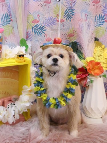 20250814リクくん