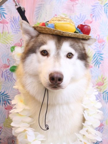 20250815レオくん