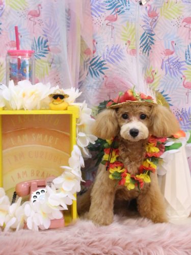 20250815むぎちゃん