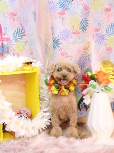 20250815ノアちゃん