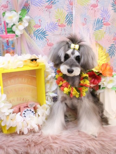 20250815ルナちゃん