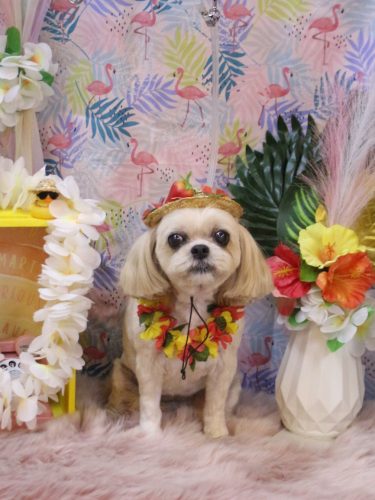 20250816モカちゃん