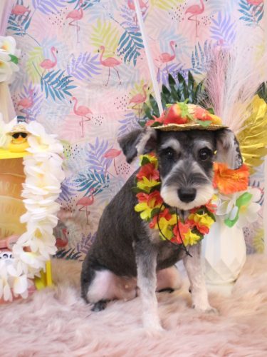 20250816なるちゃん