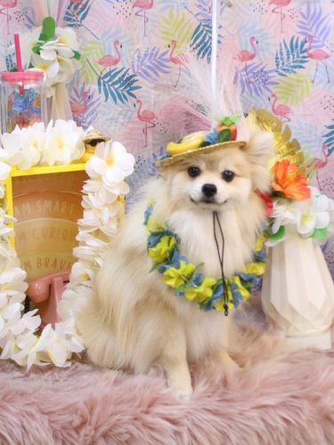 20250816なちゅくん