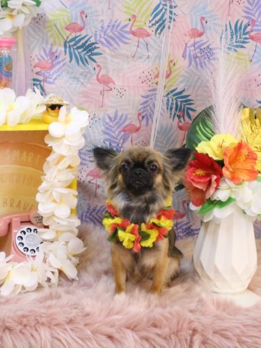 20250817むぎちゃん