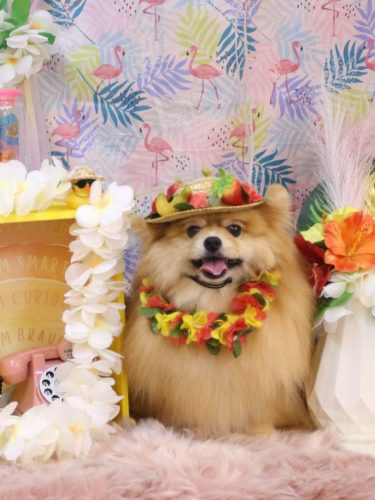 20250817梛都ちゃん