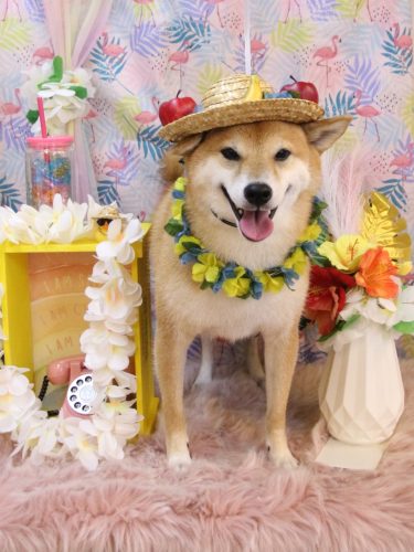 20250817シュウくん