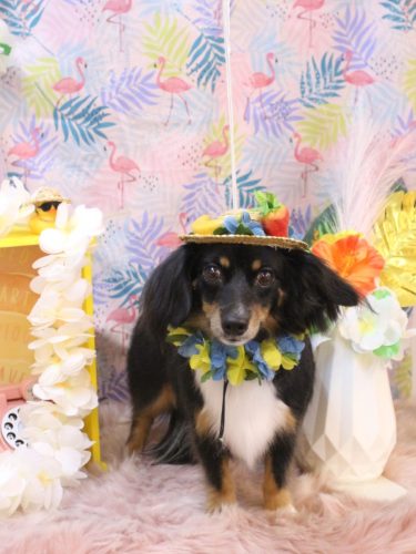 20250817れおくん