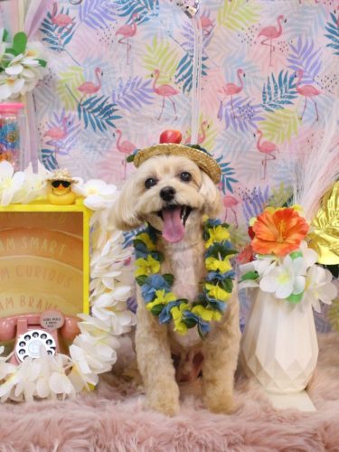 20250817ムックくん