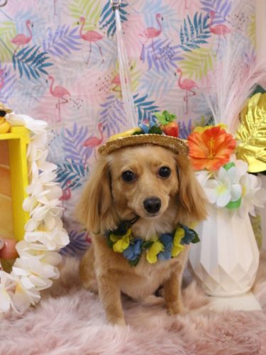 20250817ルークくん