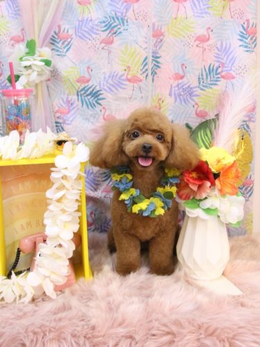 20250817ベルくん