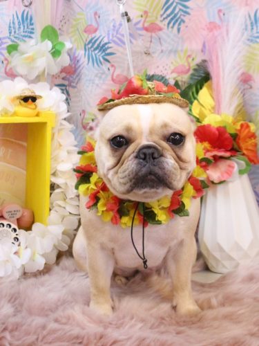 2025081NICOちゃん