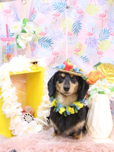 20250820おうたくん