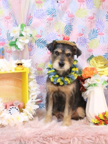 20250820ピンくん