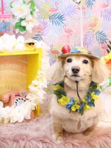 20250821テヤンくん