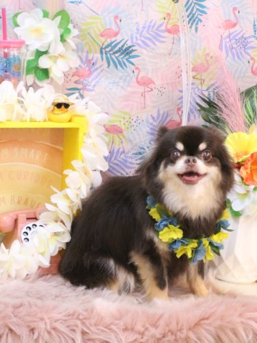 20250821フェルくん