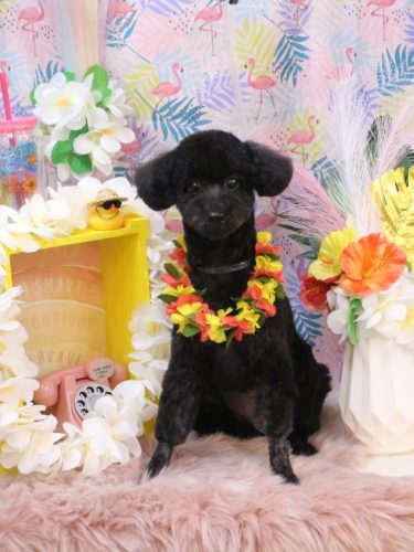 20250821もずくちゃん