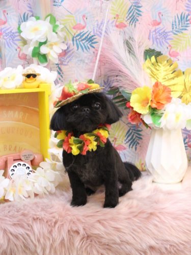 20250822つむぎちゃん