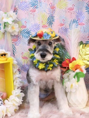 20250823小鉄くん