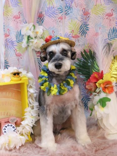 20250823銀次くん