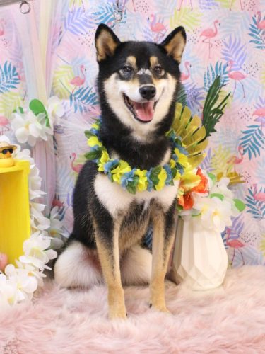 20250823ソラくん