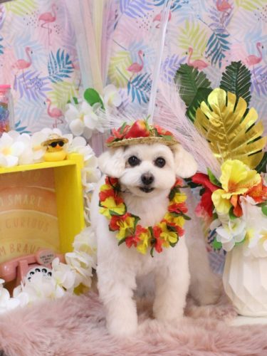 20250823うみちゃん