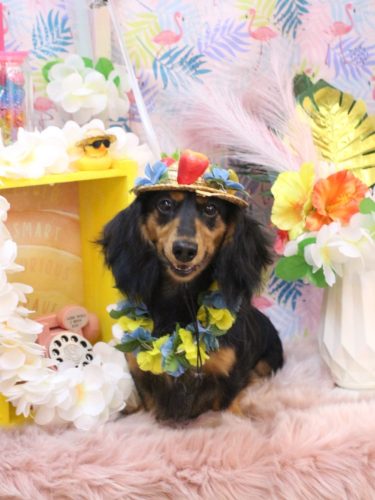 20250823カロくん