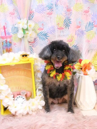 20250824ねねちゃん