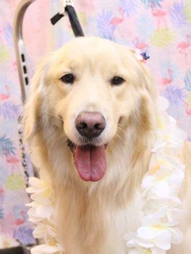 20250824ナナちゃん