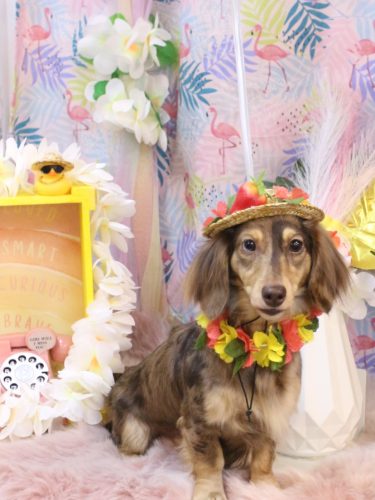 20250824エマちゃん