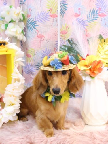 20250824レオくん