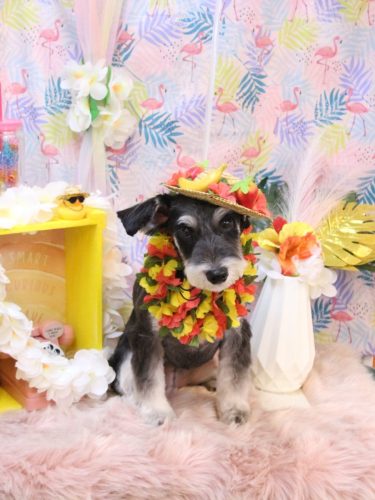 20250824音ちゃん