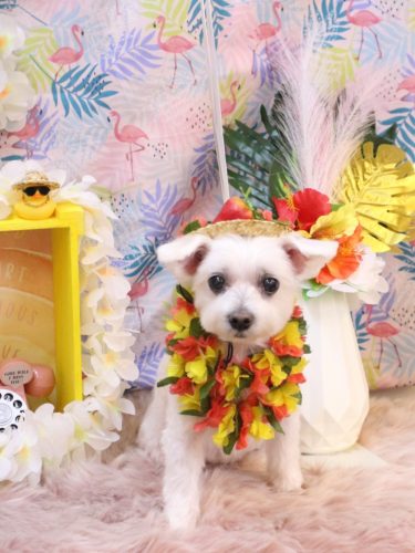 20250824ヒメちゃん