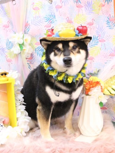 20250824ココくん